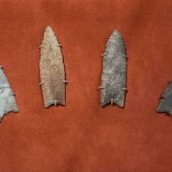 Clovis spearpoints from 13,500 to 13,000 years ago, remnants of an exceptionally widespread and successful culture