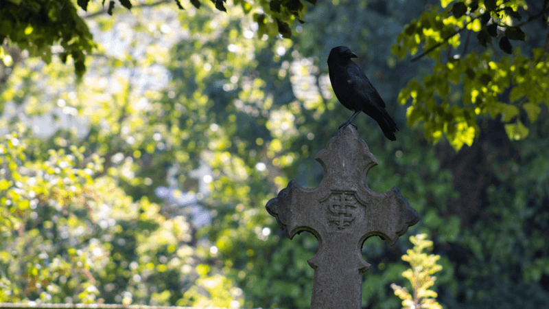crow funeral