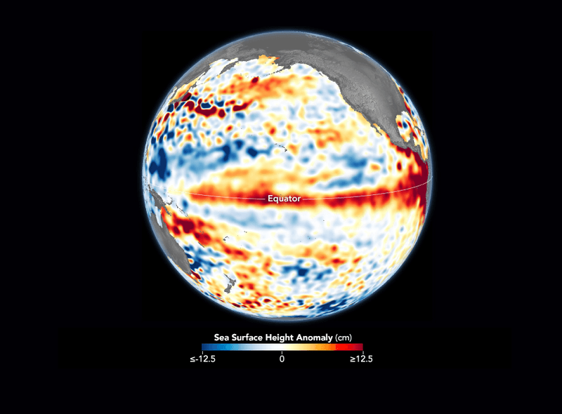 Satellite data shows El Nino warming temperatures along the Pacific.
