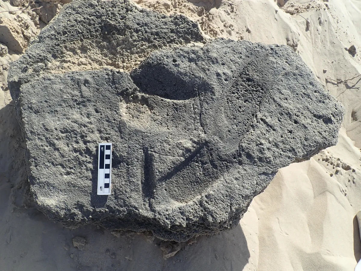 Photograph of  footprints at the Kleinkrantz site in a rock, with a scale.
