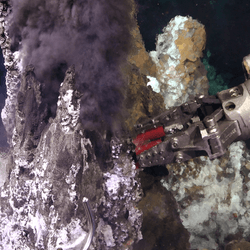 life beneath deep sea vents