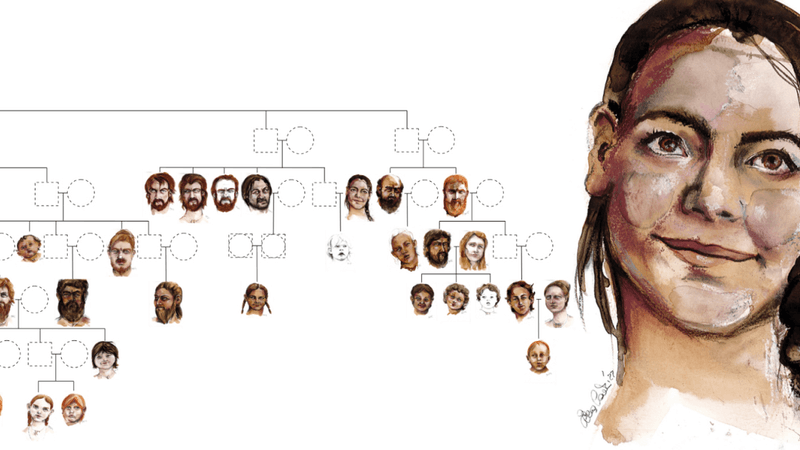 neolithic family tree