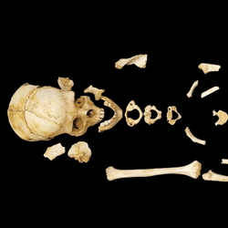 The remains of a teenage female around 13-14 years old date back around 7,00 years old, the oldest Neolithic funerary site in Iberia by more than 1,00 years. 