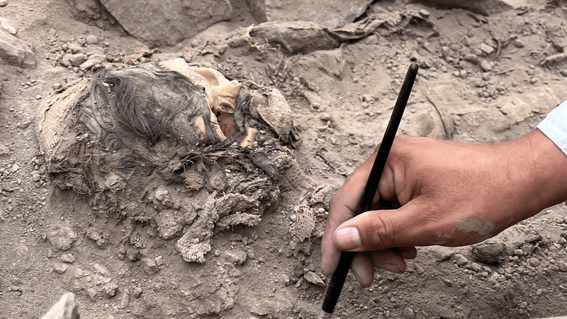 The skull of a mummy with a hand brushing dirt away from it