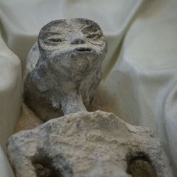 Photograph of the supposed "alien mummy", an ET-like stone-like figure laid on a cream cloth
