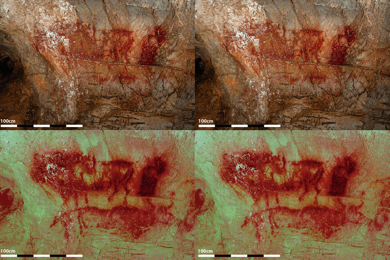 A new figure, a large bovid that's possibly an aurochs, emerges from the rock art. 