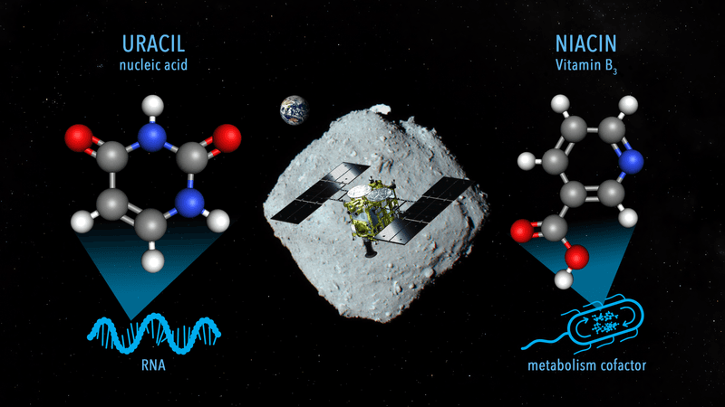 A conceptual image for sampling materials on the asteroid Ryugu containing uracil and niacin by the Hayabusa2 spacecraft 