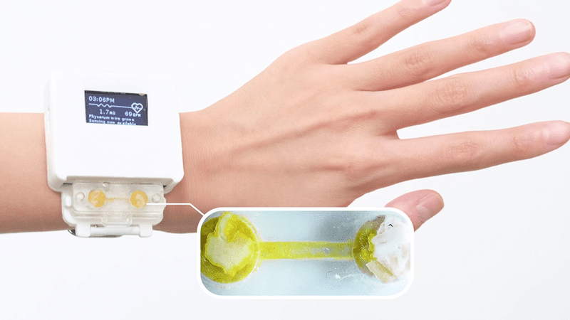Wrist with a white smart watch, at the bottom of the watch is a slime mold compartment.