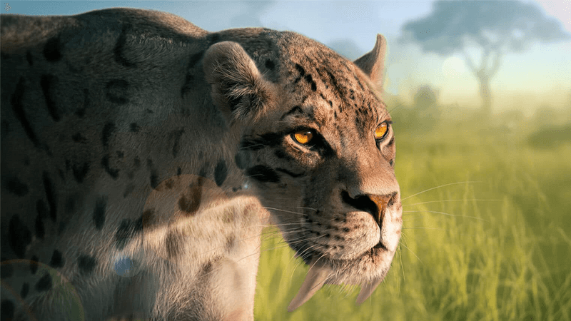 Smilodon walking through a grass area with long fangs and orange eyes
