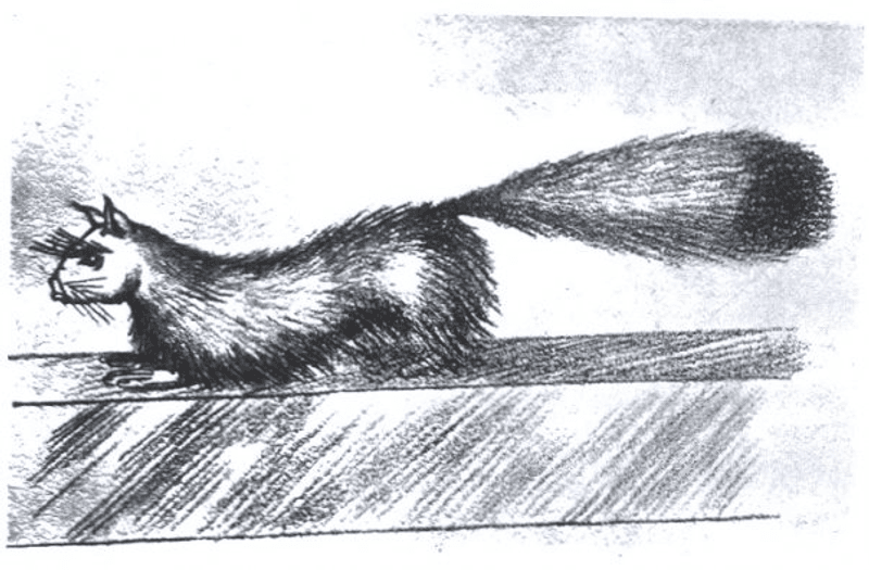 An illustration of what the Irving's believed Gef looked like. It shows a weasel-like creature with short legs and an oversized bushy tail. 